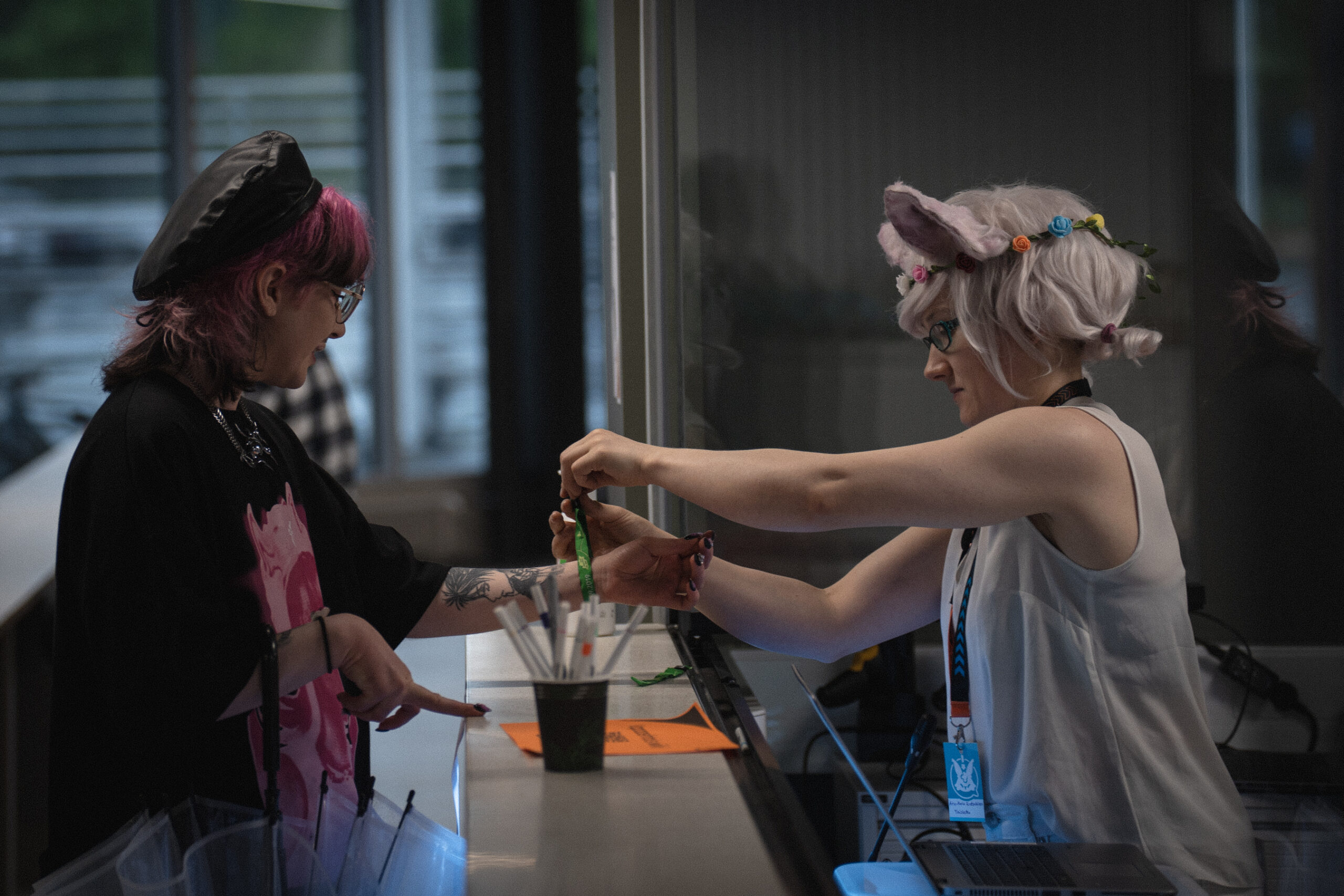 Kotaen vapaaehtoishaku käynnistyi 1.6.